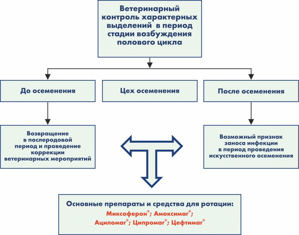 Период на схеме